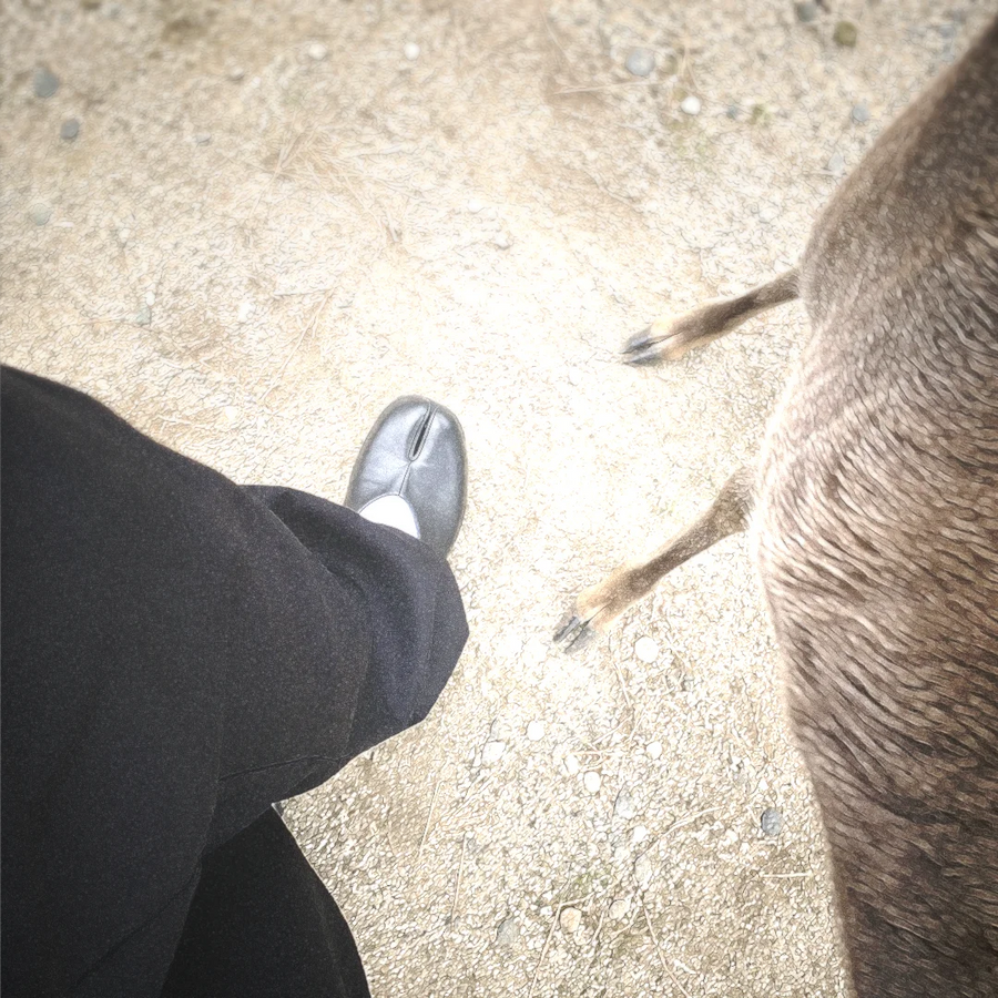 First-person view of black tabi shoes and dark trousers beside a deer on a sandy path